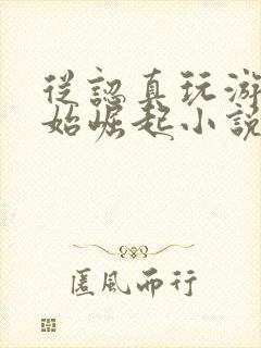 从认真玩游戏开始崛起小说