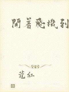 开着飞机到异界