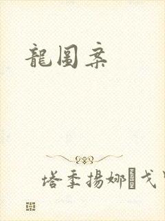 龙图案