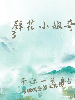 壁花小姐奇遇记3