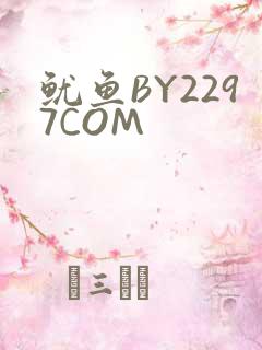 鱿鱼BY2297COM