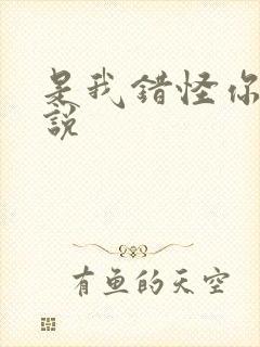 是我错怪你了小说