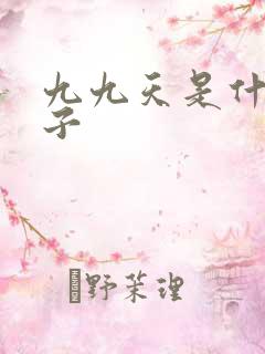 九九天是什么日子