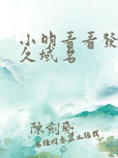 小明看看发布永久域名