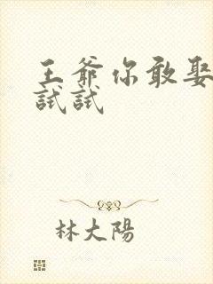 王爷你敢娶小三试试