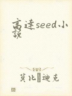 高达seed小说