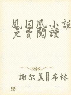 凤囚凰小说全文免费阅读