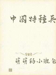 中国特种兵小说