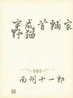 穿成首辅家的小野猫