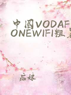 中国VODAFONEWIFI粗暴APP
