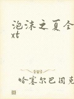 泡沫之夏全集txt