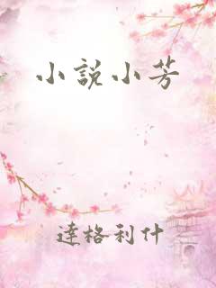 小说小芳