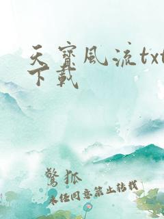 天宝风流txt下载