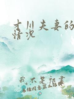 才川夫妻的恋爱情况