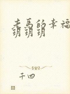 老马的幸福生活玥玥玥