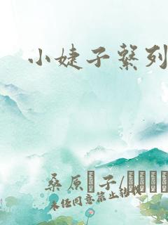小婕子系列小说
