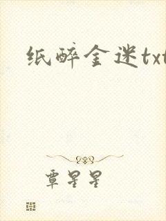 纸醉金迷txt