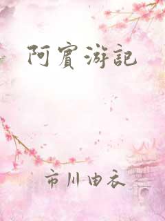 阿宾游记