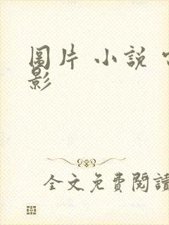 图片 小说 电影