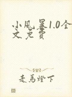 小风暴1.0全文免费