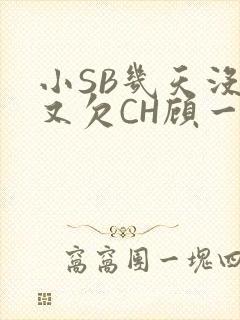 小SB几天没做又欠CH顾一成