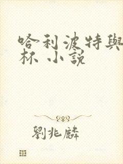 哈利波特与火焰杯 小说