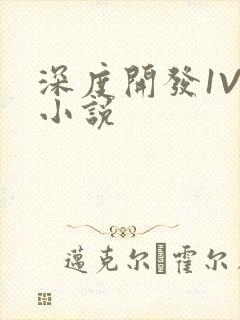 深度开发1V3小说