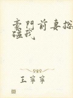 豪门前妻总裁别碰我