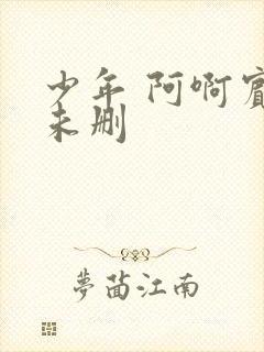 少年 阿啊宾文未删