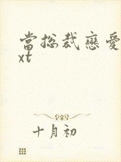 当总裁恋爱时txt