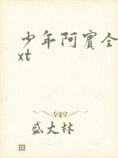 少年阿宾全集txt