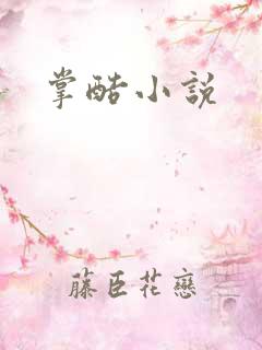 掌酷小说