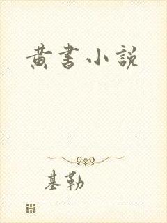 黄书小说
