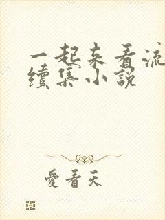 一起来看流星雨续集小说