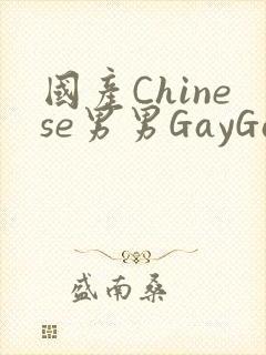 国产Chinese男男GayGayAPP