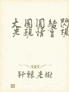 大团圆结闪闪发光亲情会视频