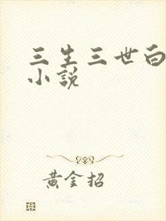三生三世白暮泪小说