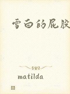 雪白的屁股小说