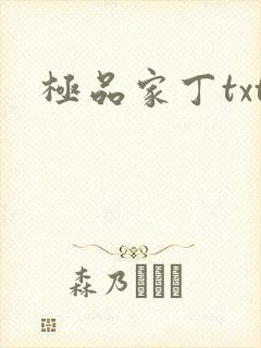 极品家丁txt