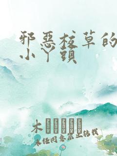 邪恶校草的拽拽小丫头