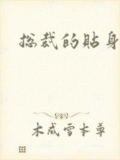 总裁的贴身玩宠