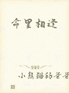 命里相逢