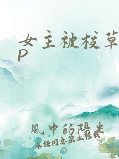 女主被校草们NP