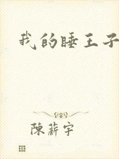 我的睡王子殿下