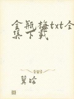 金瓶梅txt全集下载