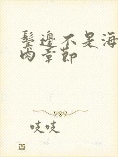 鬓边不是海棠红肉章节