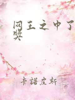 网王之中了特等奖