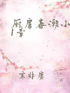 厨房春潮小说第1章