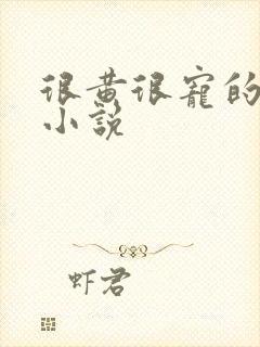 很黄很宠的总裁小说