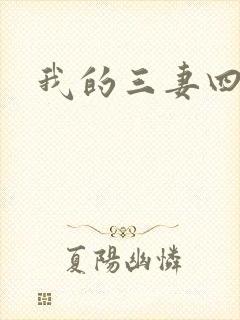 我的三妻四妾